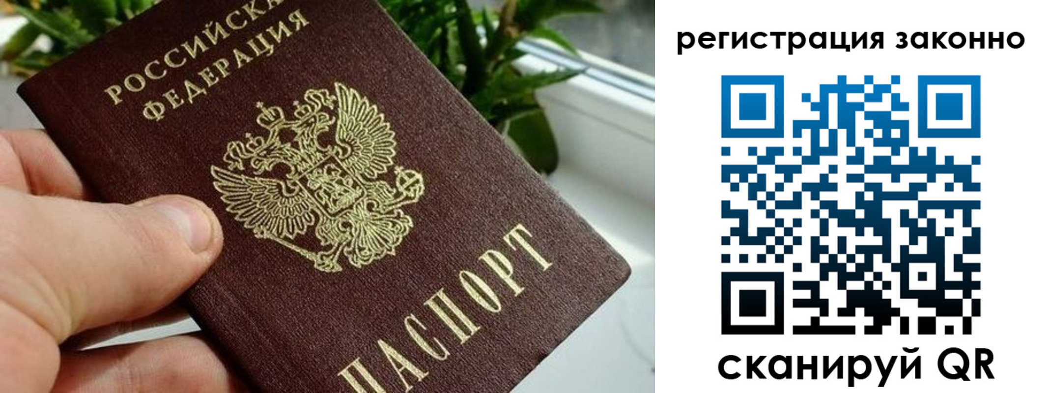 прописка гарантия в Великих Луках